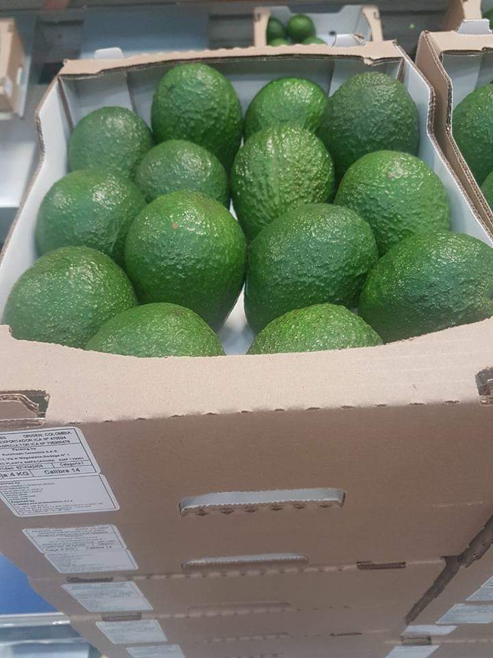 Fresh Avocado